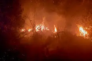 Suspeito é identificado após série de incêndios em terrenos de Santa Fé do Sul