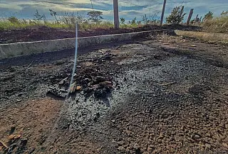 Suspeito de matar mãe e filha encontradas carbonizadas é preso