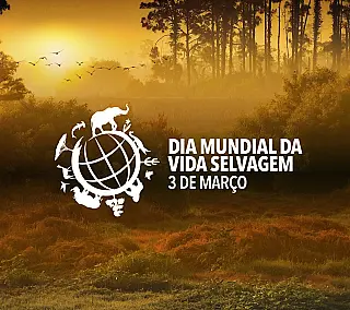 Dia Mundial da Vida Selvagem
3 de março