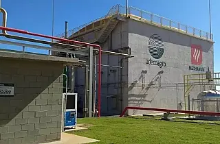 Mineração de bitcoins começará em julho usando energia da cana-de-açúcar