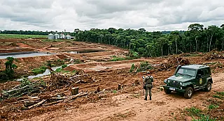 MPMS investiga danos ambientais em propriedade rural de Coronel Sapucaia