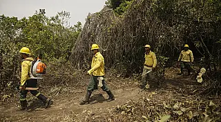 Bombeiros controlam focos de incêndio no Pantanal do MS com ajuda das chuvas locais