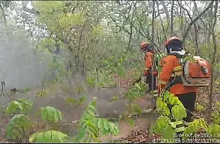 Bombeiros combatem incêndios há quatro dias no Pantanal
