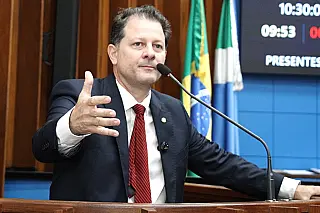 Renato Câmara propõe regionalizar status sanitário após foco de gripe aviária no RS