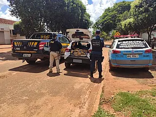 PRF e PM apreendem 262 Kg de maconha em Amandina