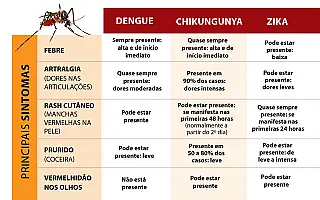 Ministério da Saúde e SES discutem com entidades ações de combate a Dengue, Zika e Chikungunya