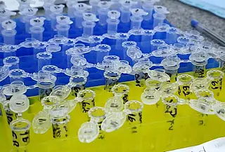 MS soma mais de 1,8 mil novos casos de coronavírus e chega a 7.671 óbitos