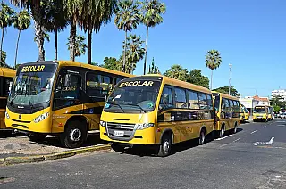 Transporte escolar poderá ser reaproveitado em outras áreas após 10 anos