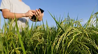CMN reduz juros do FCO Rural e taxa fica mais atrativa