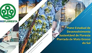 PROFLORESTA criado com foco no desenvolvimento sustentável de florestas