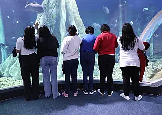 Bioparque transforma passeio em experiência inédita para adolescentes da Unei