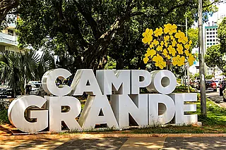 Campo Grande encerra 2025 com destaque nacional e internacional em arborização urbana
