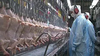 Arábia Saudita barra importação de frango de frigoríficos brasileiros