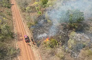 Governo de MS decreta situação de emergência por incêndios florestais