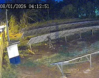 Homem é preso após furto de fios causar prejuízo de R$ 250 mil