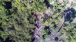 Polícia Militar Ambiental de Cassilândia autua dono de chácara em R$ 5 mil
