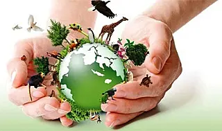 06 de novembro Dia Internacional a Prevenção da Exploração do Meio Ambiente em Tempos de Guerra
