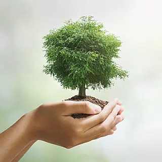 Dia do Agente de Defesa Ambiental 
06 de fevereiro