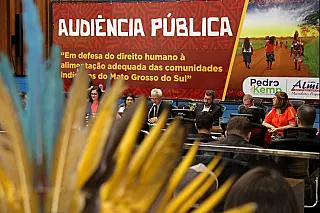 Após audiência, grupo de trabalho acompanhará segurança alimentar de indígenas