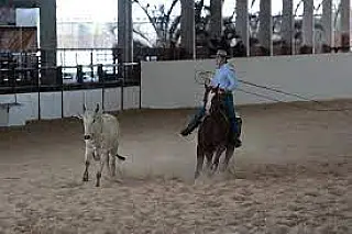 Neste fim de semana, Mato Grosso do Sul é palco de diversas competições esportivas.
