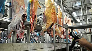 MS faturou US$ 107,8 milhões com exportação de carne bovina no bimestre