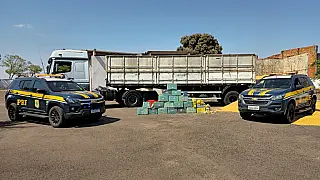 Homem é preso transportando 453 kg de drogas escondidos sob carga de milho