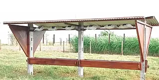 Ladrões furtam 600 kg de sal mineral e deixam boi morto em fazenda