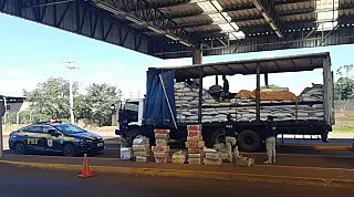 Polícia apreende 3,7 toneladas de maconha escondidas em carga