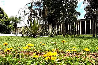<b>Agenda</b>: Apresentação de relatórios da Secretaria de Estado de Saúde é destaque