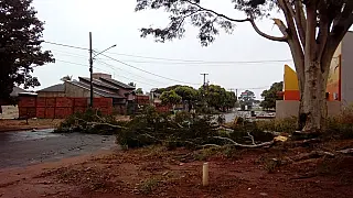 Vendaval em Ivinhema deixa parte da cidade sem energia