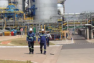 Exportações de MS somaram US$ 1,43 bilhão até fevereiro