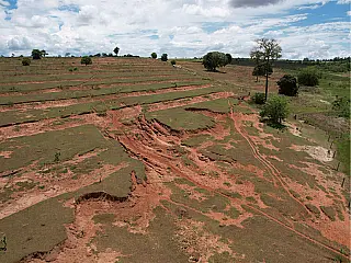 MPMS reforça proteção ambiental e acompanha cumprimento de TAC para recuperação de áreas degradadas