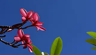 Terça-feira de tempo estável, com sol e baixa umidade do ar