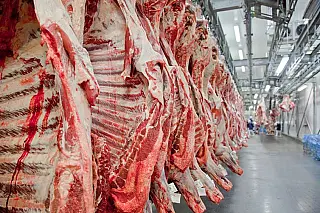 Estados Unidos reabriram mercado de carne in natura do Brasil