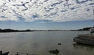Apesar das chuvas,Pantanal ainda sofre com efeitos provocados pela seca dos últimos anos em MS.