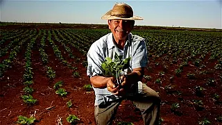Unindo Forças para Combater as Hepatites Virais