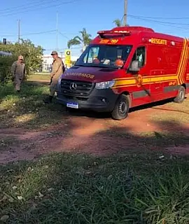 Homem Morre Eletrocutado Enquanto Podava Árvore em Nova Andradina