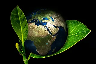 Semana do Meio Ambiente
 1 de Junho