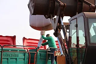 Plantio da soja avança 10,8% em uma semana no estado, segundo a Aprosoja/MS