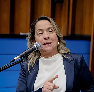 Lia Nogueira pede providências do Governo após queda de caixa d'água na Aldeia Jaguapiru
