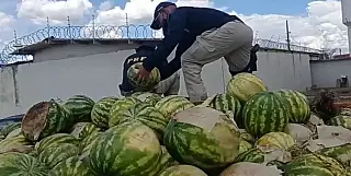Motorista é preso com 1,3 tonelada de maconha escondida sob melancias