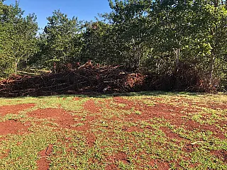 PMA de Aparecida do Taboado aplica multa de R$ 13 mil por crime ambiental