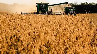 China é o destino de 79% da produção de soja exportada pelo MS