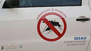 Suspeita de dengue? Confira os sintomas iniciais e quando procurar o médico