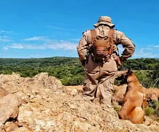 Cães do Corpo de Bombeiros Militar de MS vão ajudar no resgate de vítimas em Petrópolis-RJ