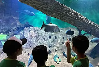 Bioparque Pantanal terá horário especial nesta sexta