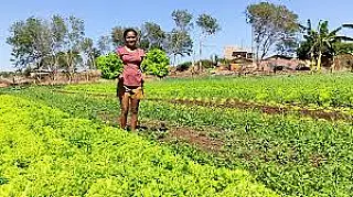 Agraer de Cassilândia convoca agricultores familiares para inscrições no PNHR