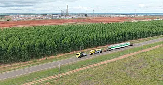 Arauco investiu na qualificação profissional com nova etapa do Programa de Formação de Motoristas
