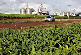 Governo revitaliza estrada rural que recebe até 100 caminhões por dia na época da colheita em Maraca