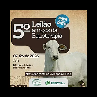Leilão beneficente apoiará Centro de Equoterapia